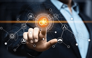 Workflows & Automation