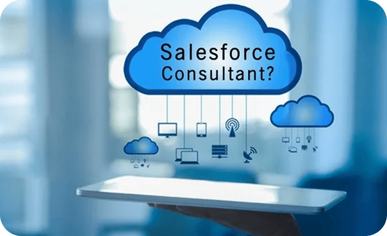 Salesforce Consultant